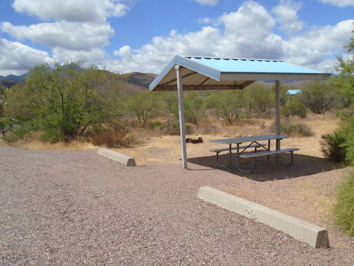 Site 25, Cholla Campground - Recreation.gov