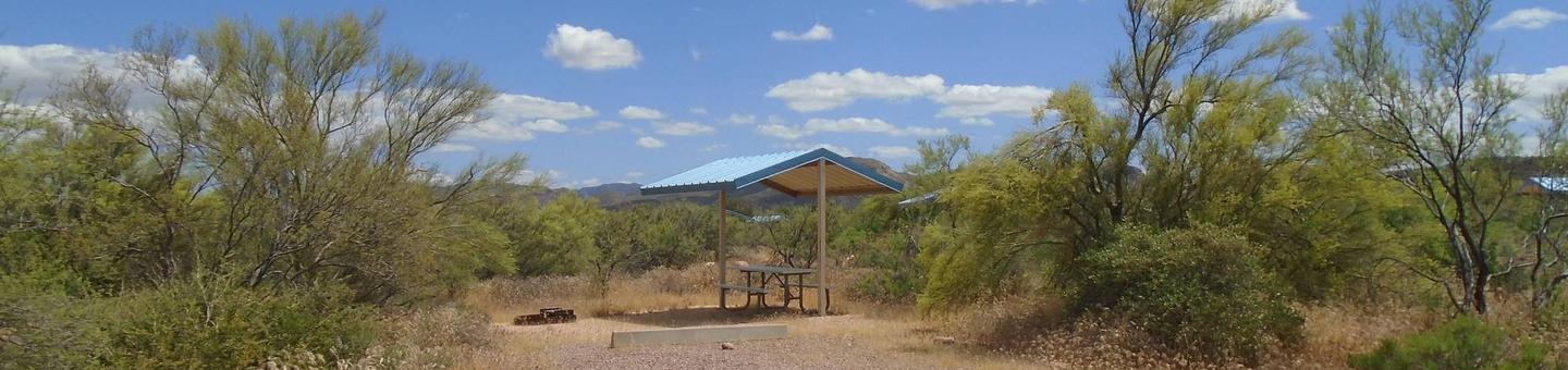 Campsite 99 at Cholla CampgroundCampsite 99, Cholla Campground