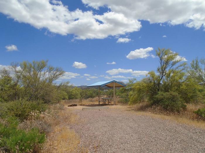 Campsite 99 at Cholla CampgroundCampsite 99, Cholla Campground