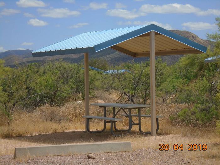 Campsite 99Campsite 99, Cholla Campground