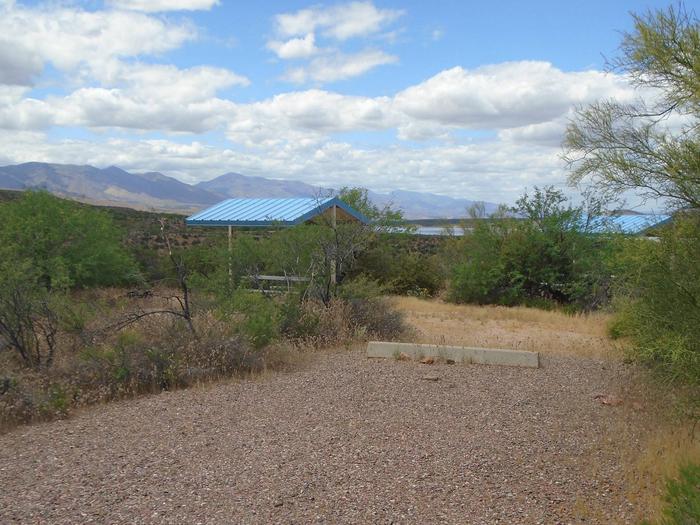 Campsite 111 at Cholla CampgroundCampsite 111, Cholla Campground