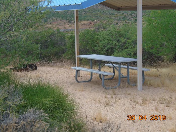 Campsite 111Campsite 111, Cholla Campground