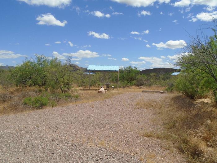 Site 115, Cholla Campground - Recreation.gov