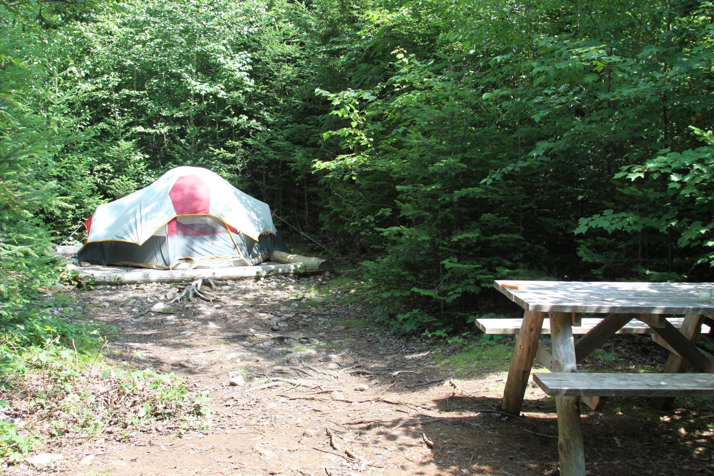 A Photo of Site H3 While OccupiedSite H3