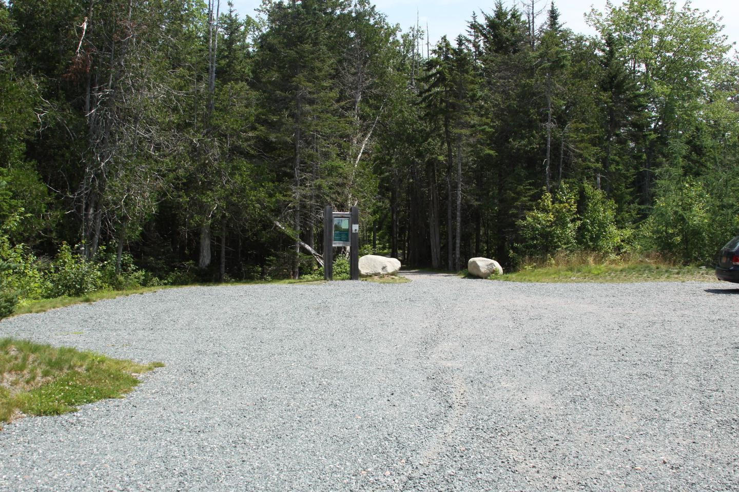 Gravel parking lot surrounded by spruce and pine trees.Parking lot for hike-in campsites