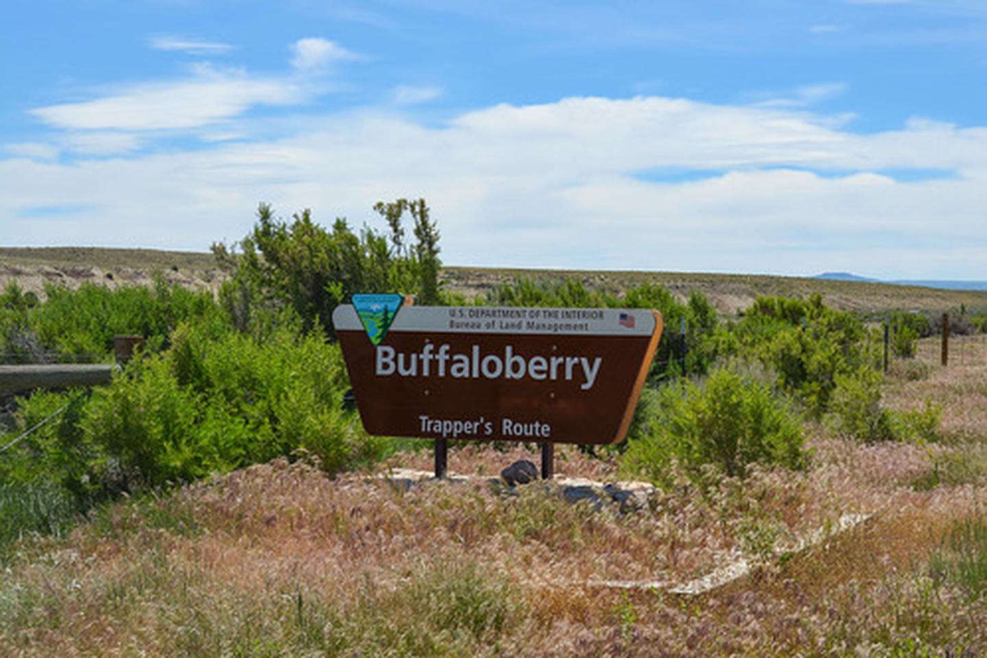 Buffaloberry Campground sign