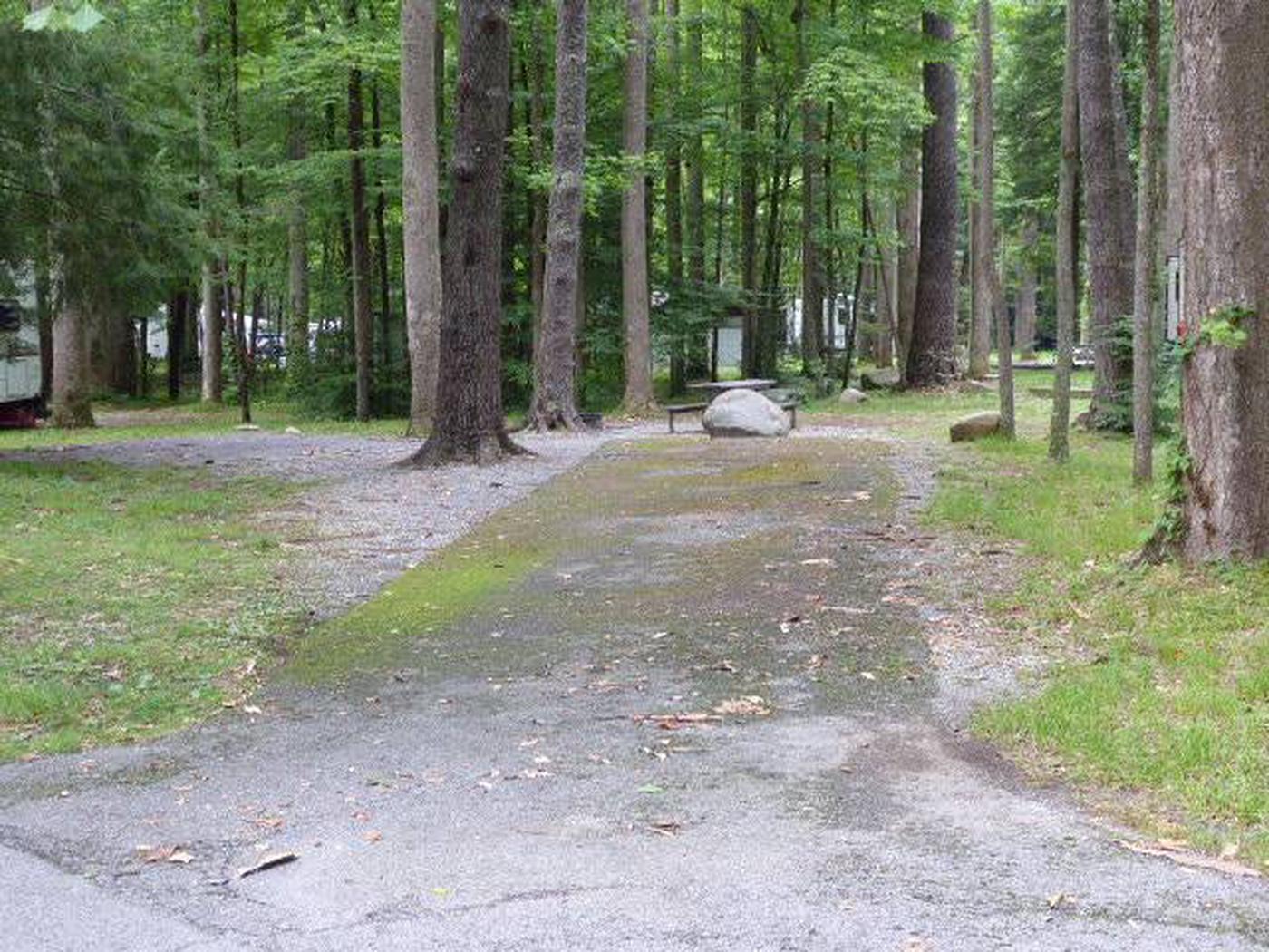 Site E08, Elkmont Campground - Recreation.gov