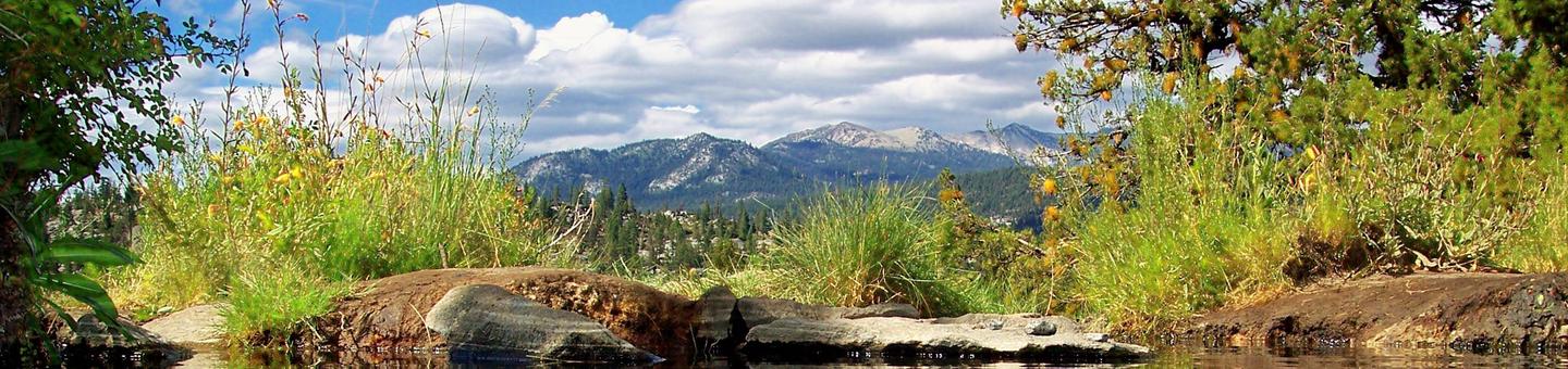 Mono Creek, Sierra National Forest - Recreation.gov