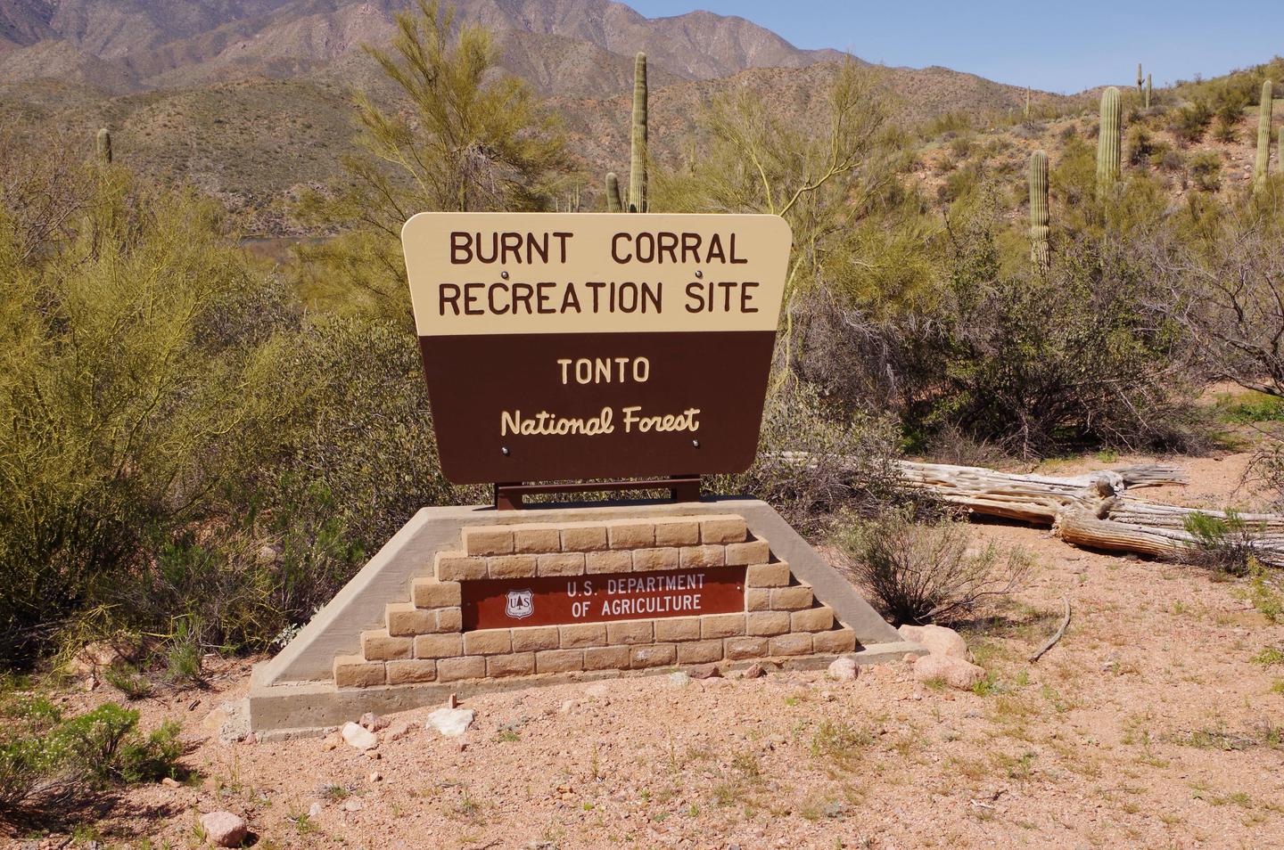 Burnt Corral Recreation Site Tonto Basin, AZ
