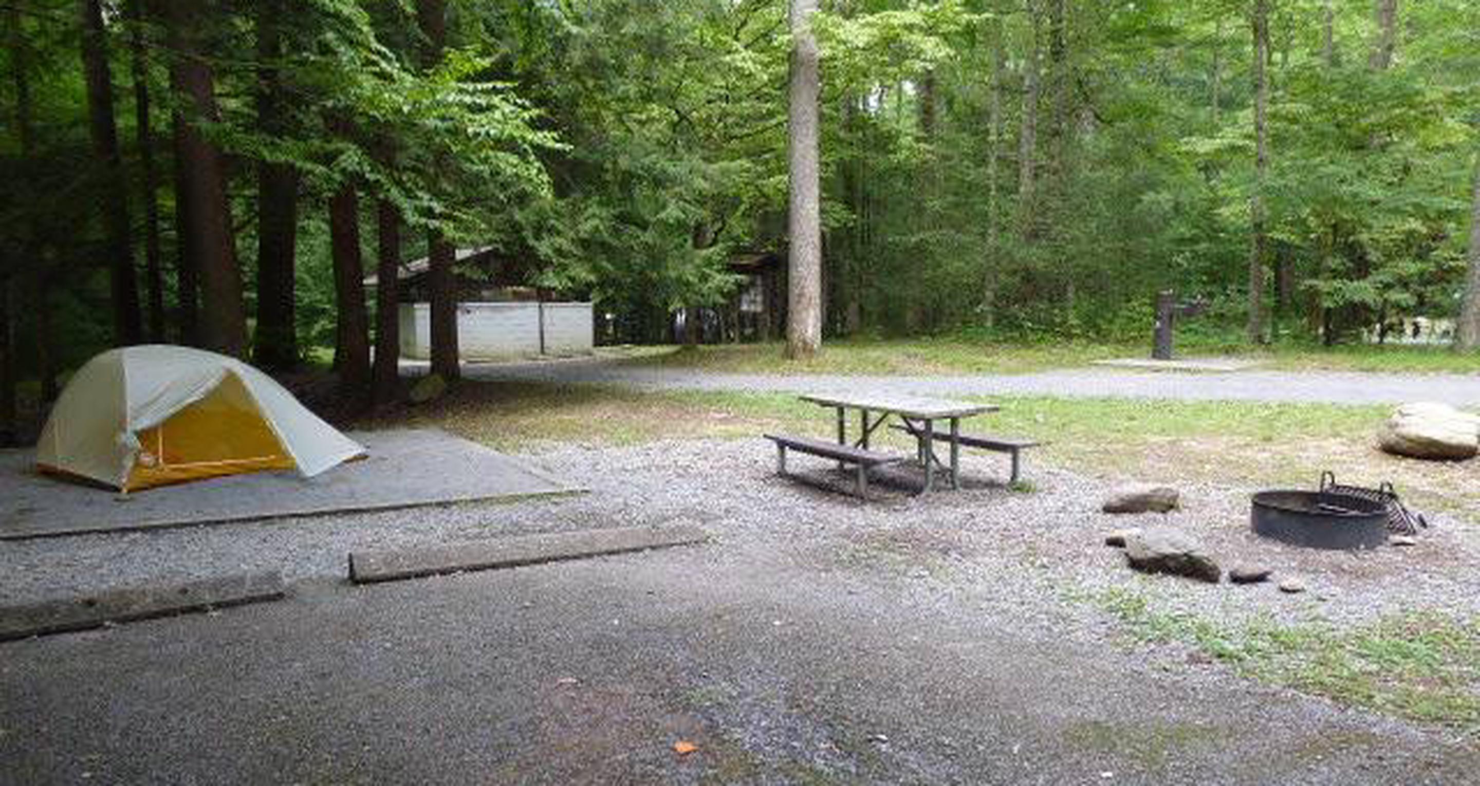 Site L08, Elkmont Campground - Recreation.gov