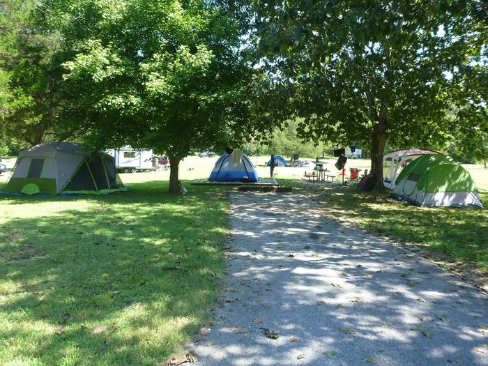 Tyler Bend Main Loop Site# 19-3 Site# 19, 55' back-in, tent pad 15' x 15'.