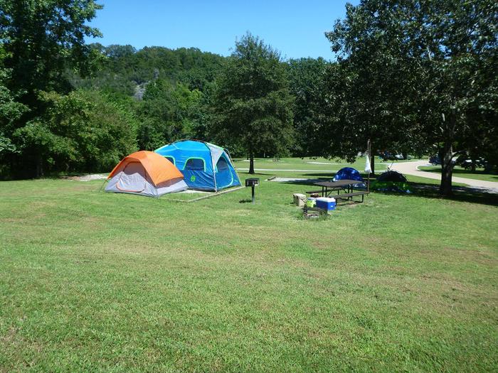 Tyler Bend Main Loop Site# 21-2Site #21, 56' back-in, tent pad 15' x 15'.
