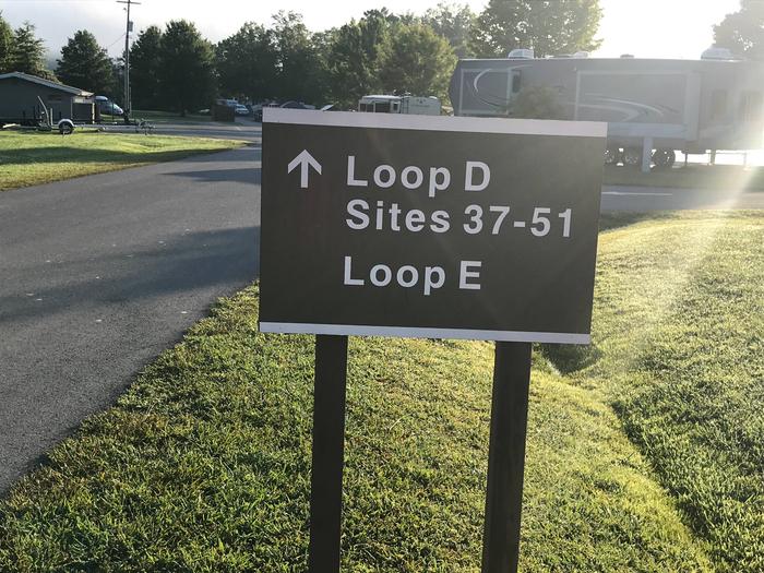 Loop D