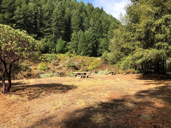 Preview photo of Skunk Point Group Campground