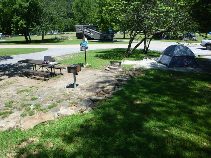 Tyler Bend Main Loop Site #24-5Site #24, 54' back-in, tent pad 15' x 15'.