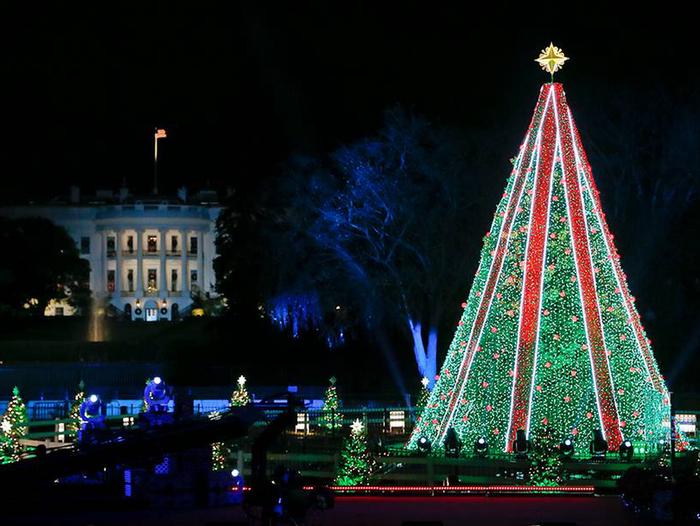Preview photo of National Christmas Tree Lighting Ceremony