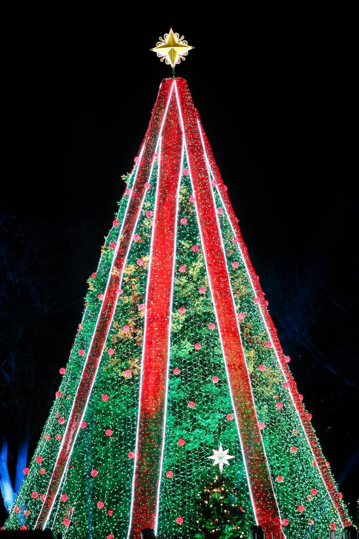2019 National Christmas Tree The National Christmas Tree Lighting Opening Ceremony