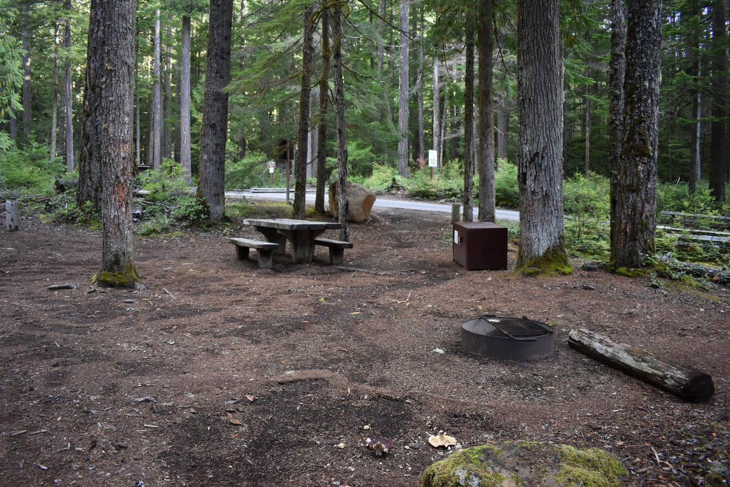 Campers are provided with a picnic table, fire pit, and food storage box.