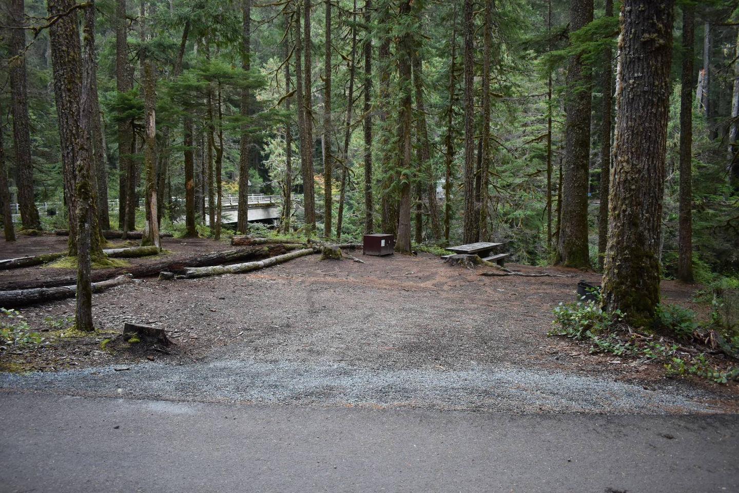 Ohanapecosh Campground - Site D003 Parking Area