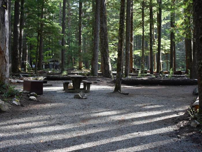 Ohanapecosh Campground - Site D007