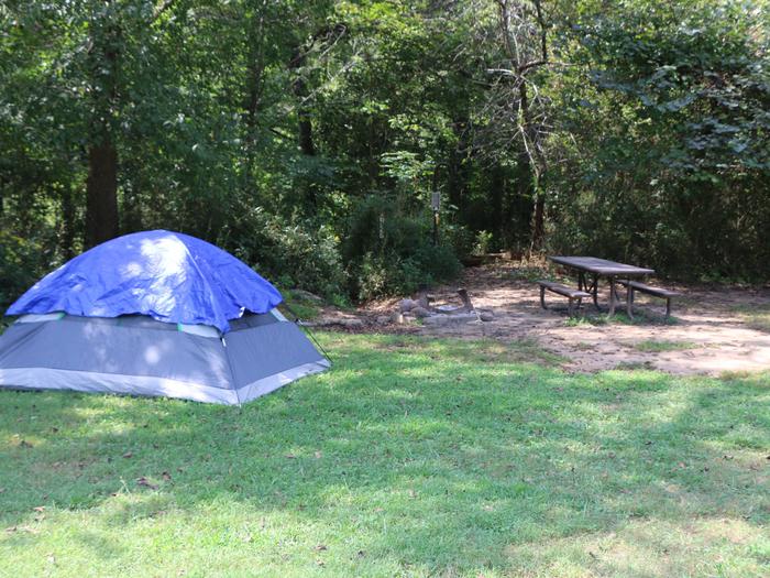 Site 22 - Tent Site, Steel Creek Campground - Recreation.gov