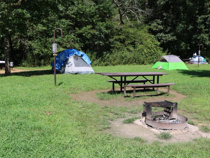 Steel Creek Camp Site #17