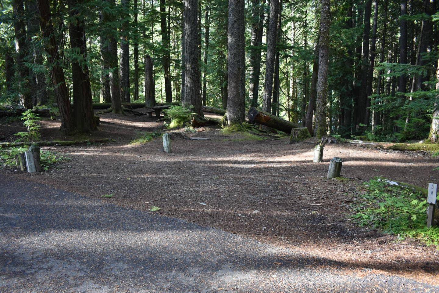 Ohanapecosh Campground - Site D008 Parking Area