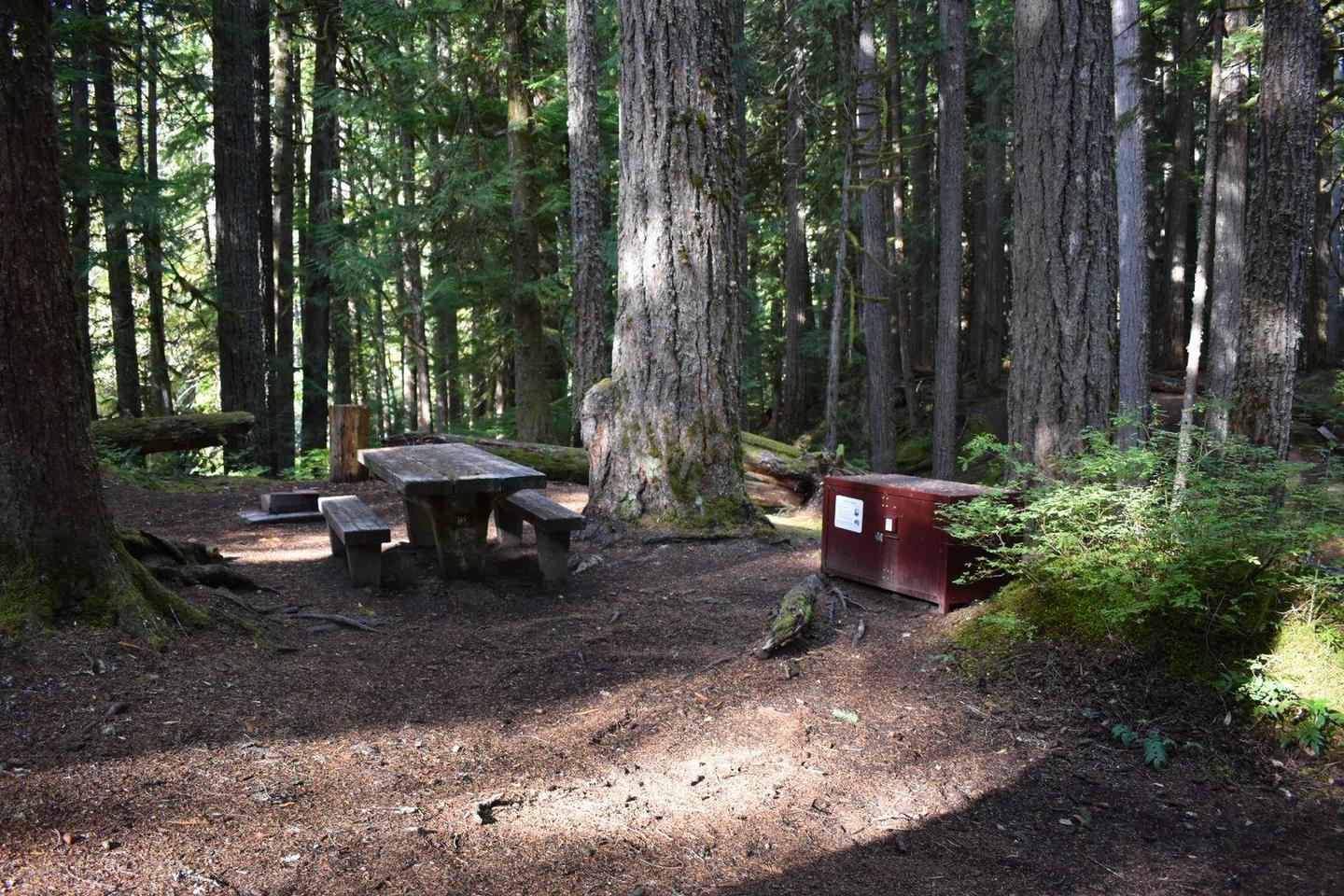 Ohanapecosh Campground - Site D008 AmenitiesCampers are provided with a picnic table, food storage box, and fire pit.