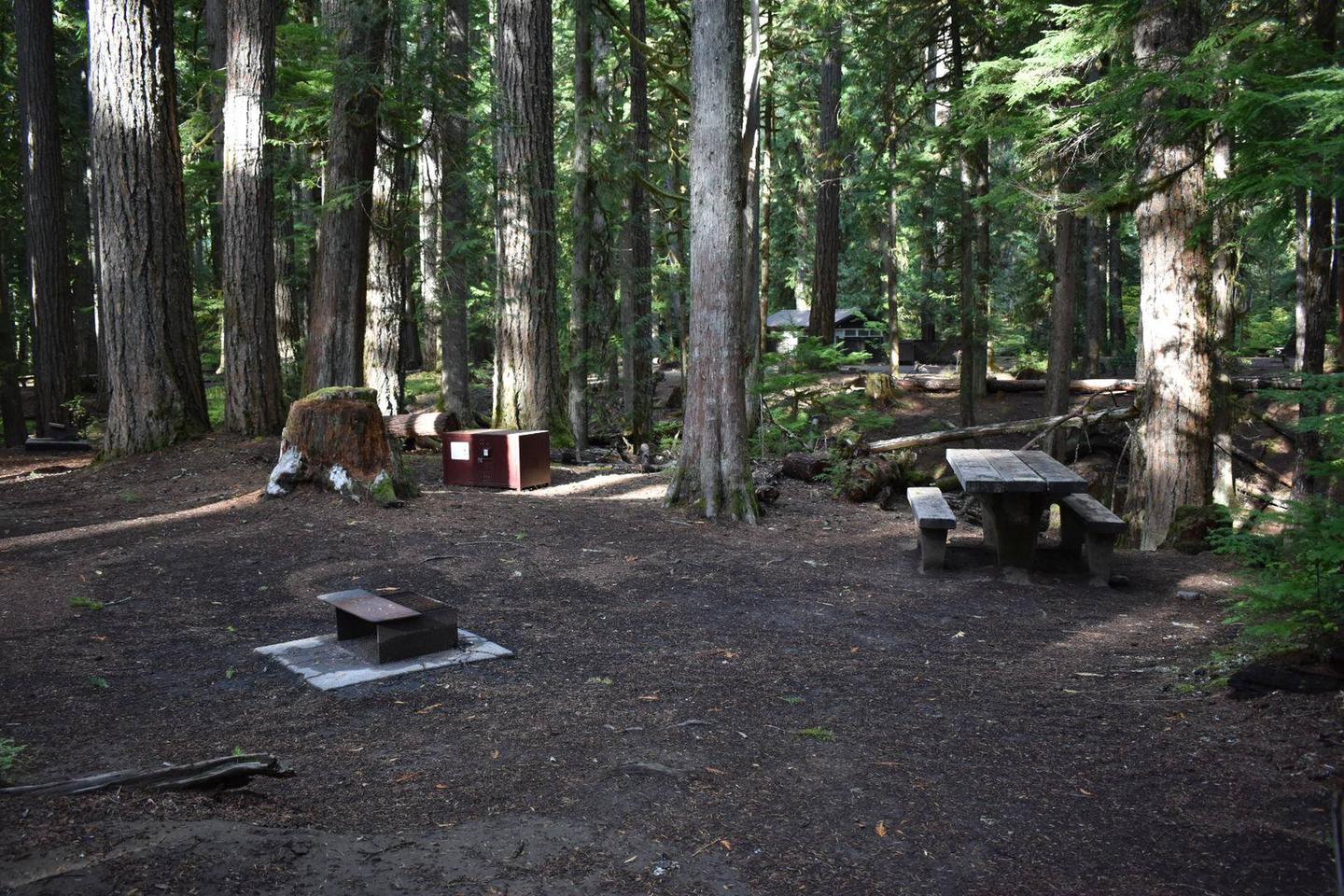 Campers are provided with a picnic table, food storage box, and fire pit.