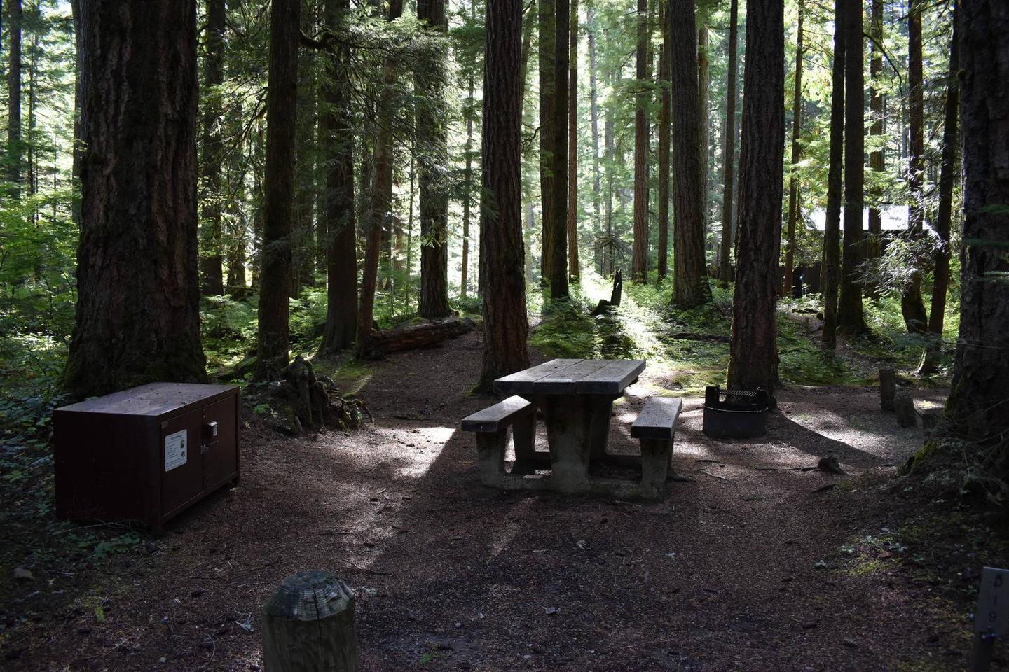 Ohanapecosh Campground - Site D019 AmenitiesCampers are provided with a picnic table, food storage box, and fire pit.