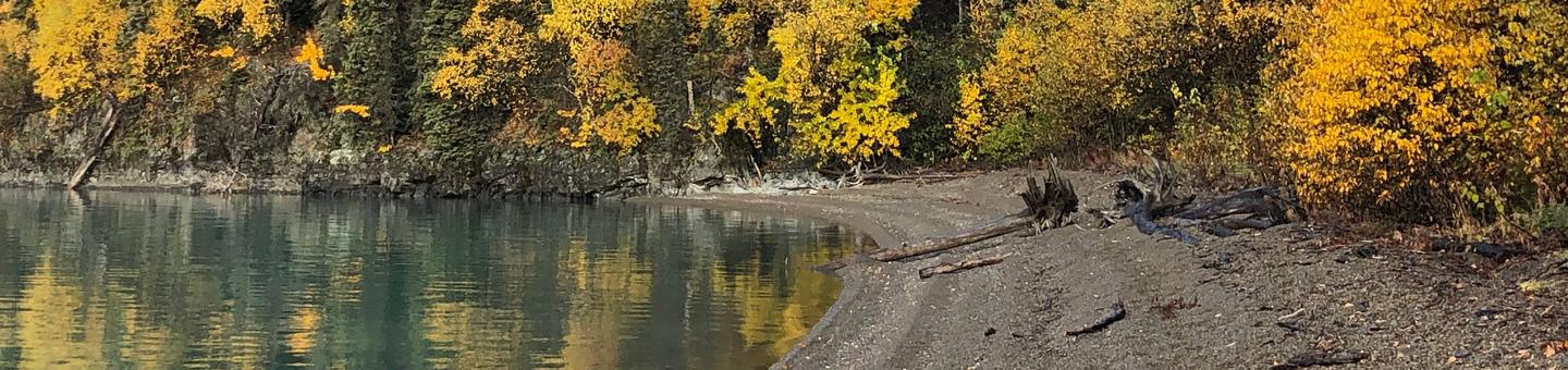 Trees in fall colors border a narrow gravel beach that leads to the striking glacially influenced waters of Lake Clark.Beach in front of cabin.