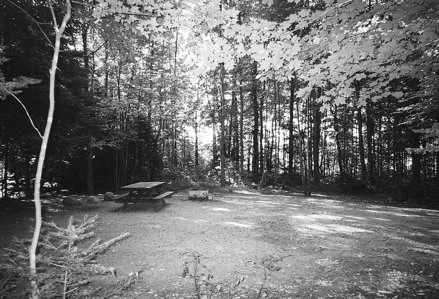 Preview photo of Bear Lake Campground (Chequamegon-Nicolet Nf, WI)