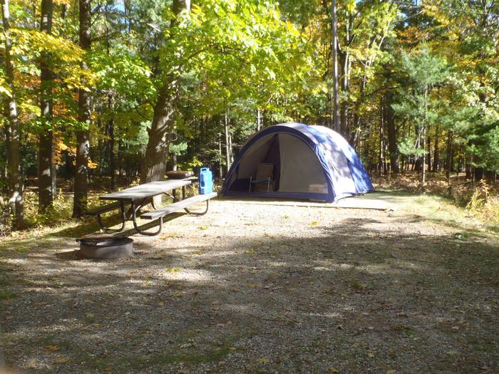 Site 17, D.h. Day Campground - Recreation.gov