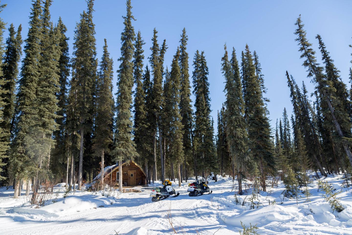 Winter view of a log cabin surrounded by tall treesRichard's Cabin is located in a grove of tall spruce trees.