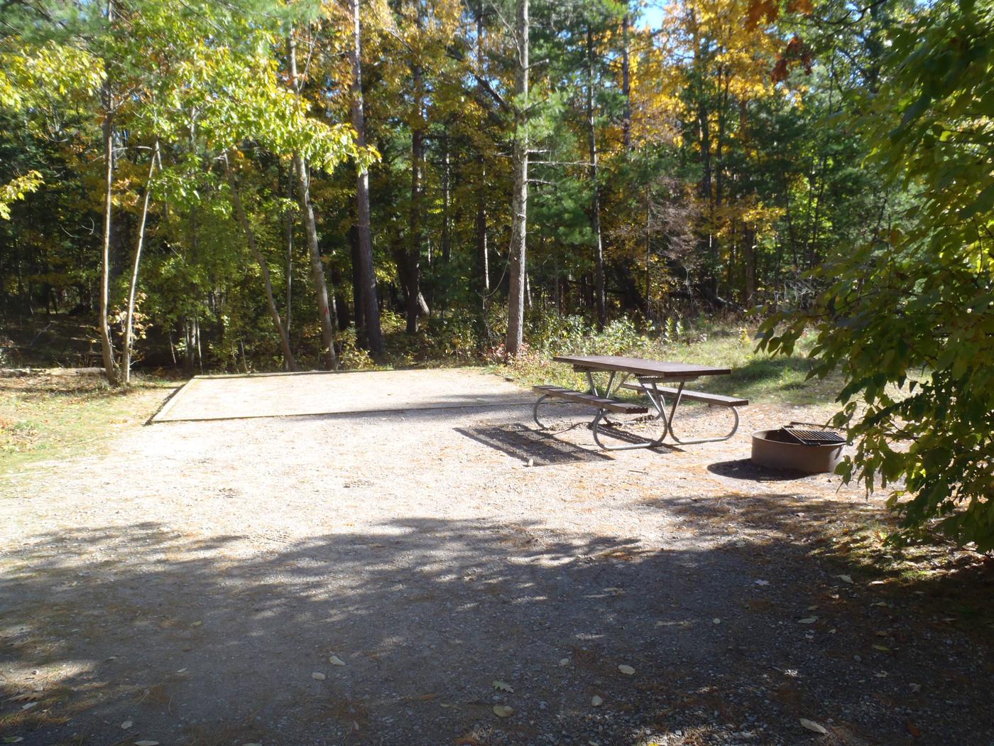 Site 52, D.H. Day Campground - Recreation.gov