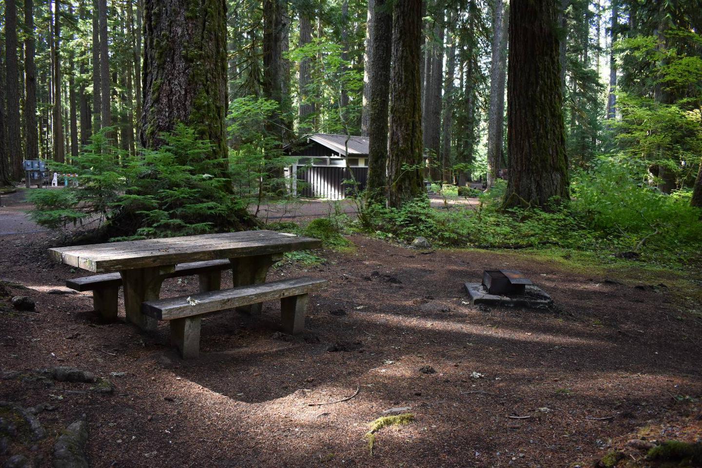 Campers are provided with a picnic table and a fire pit.