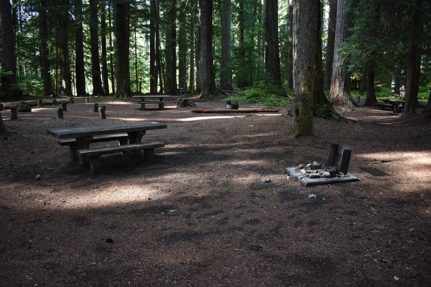 Campers are provided with a picnic table and a fire pit.