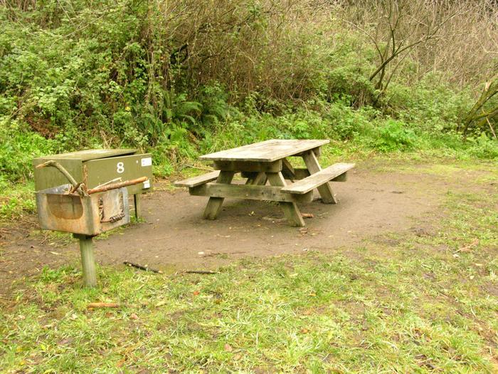 campsite with picnic table, food storage locker and BBQ grillGlen 8