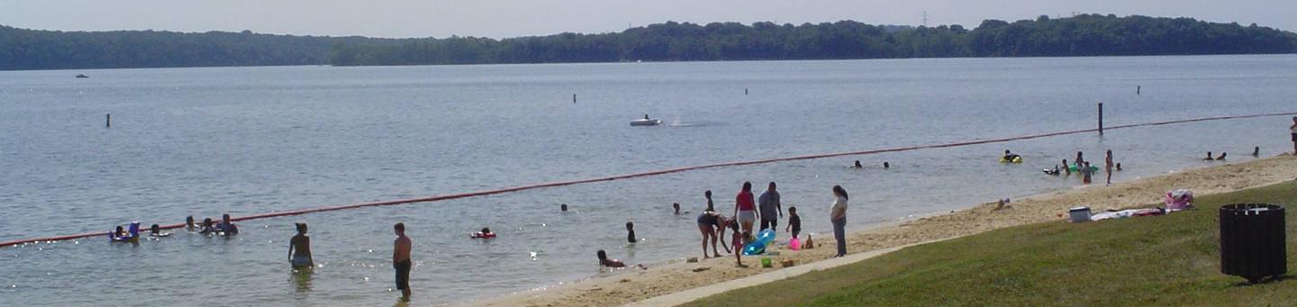 Swim Beach at Anderson Road Day Use