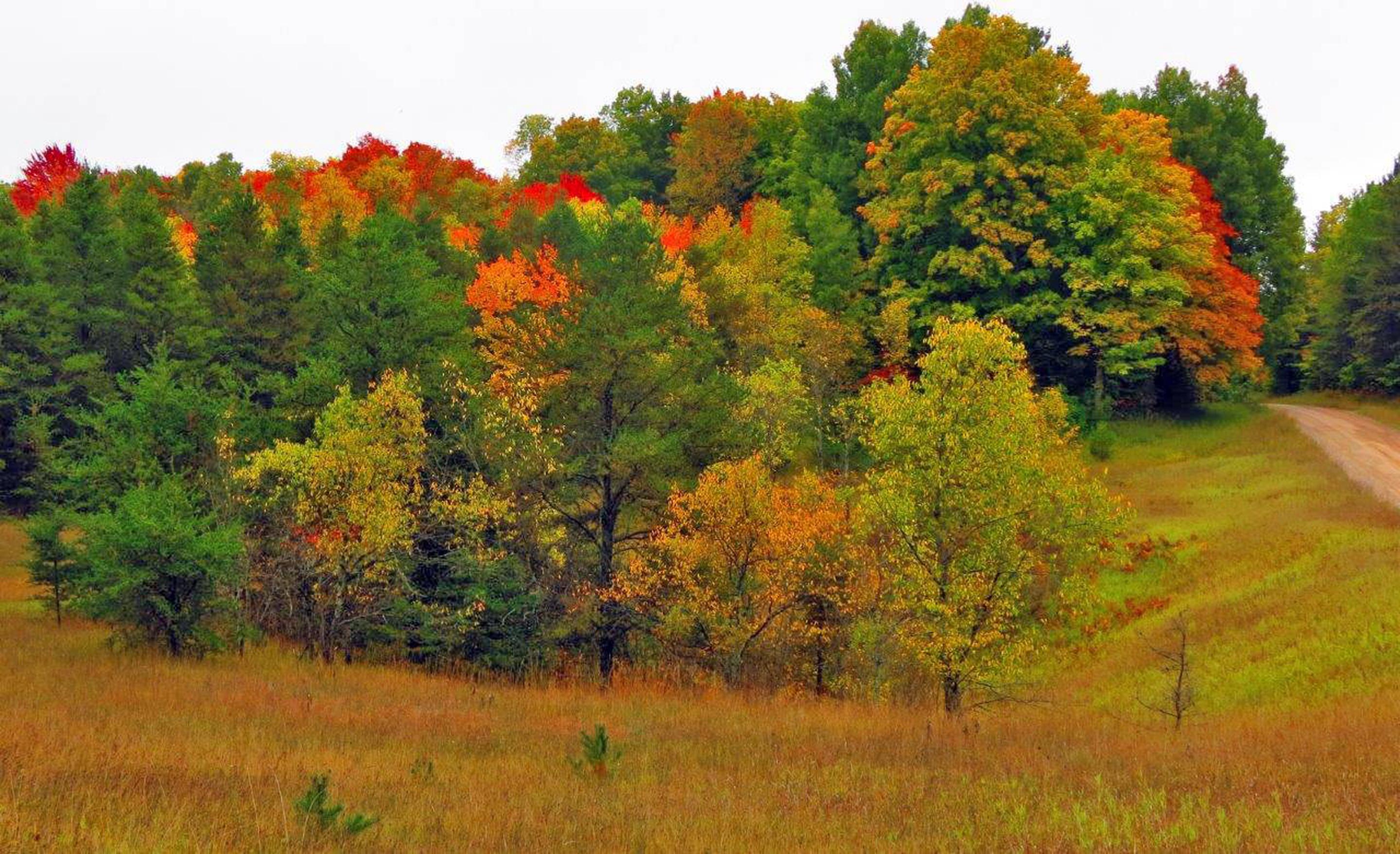 Huron-Manistee National Forests - Recreation.gov