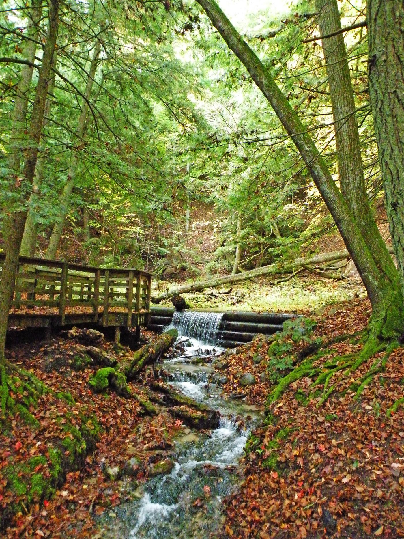 Huron-Manistee National Forests - Recreation.gov