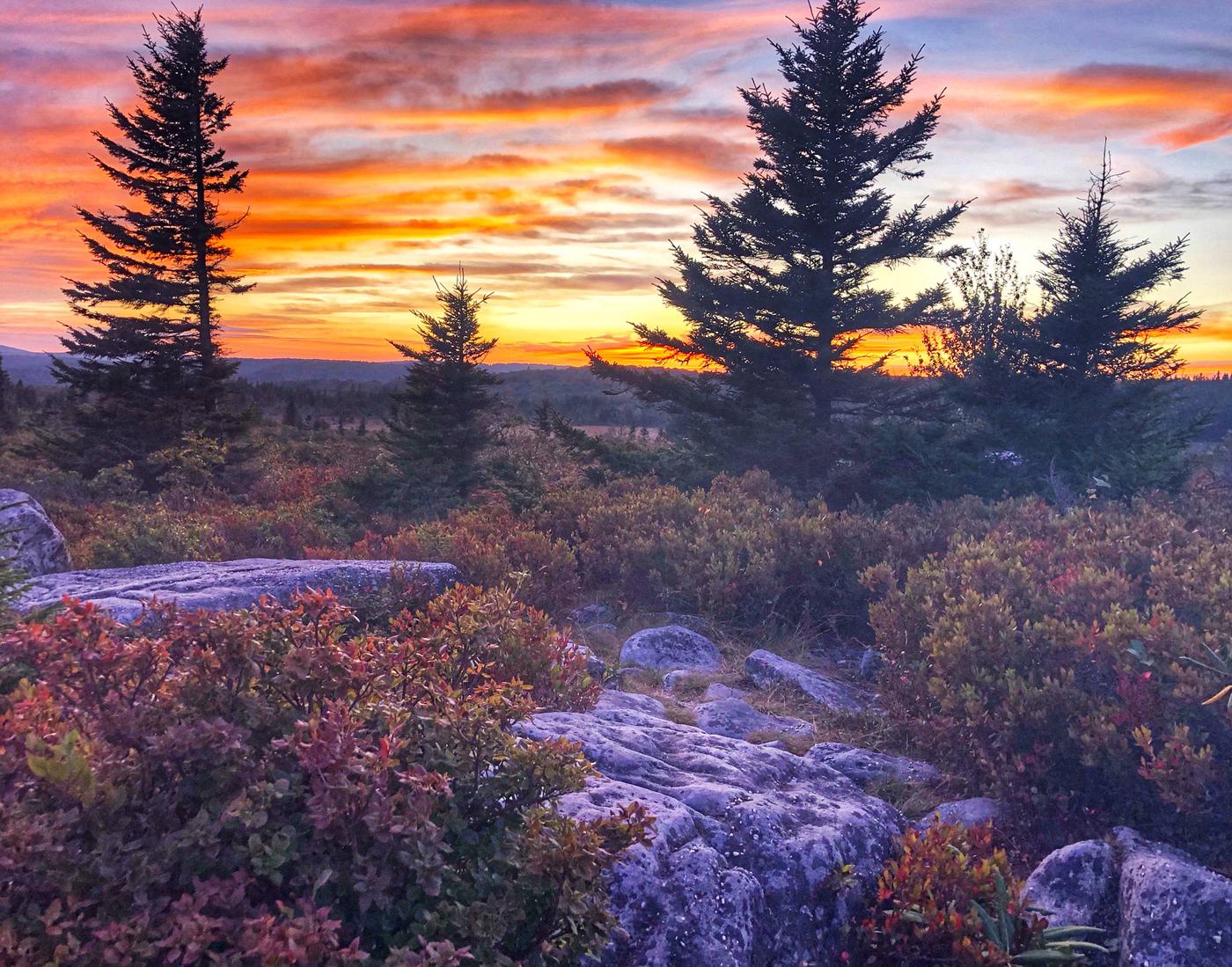 Monongahela National Forest, West Virginia - Recreation.gov