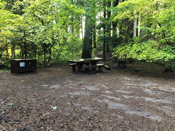 Campers are provided with a picnic table, food storage box, and fire pit.
