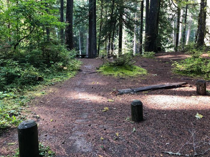 A short path leads from the parking area to the main campsite.