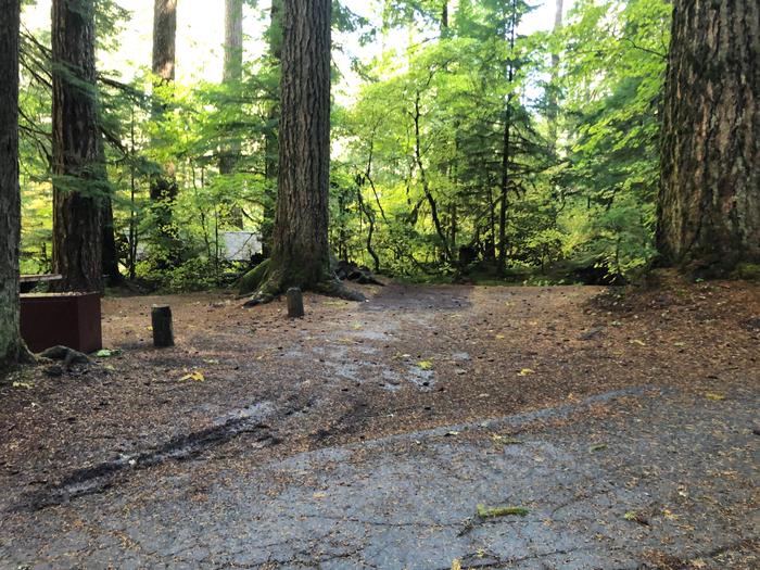 Ohanapecosh Campground - Site B010 Parking Area