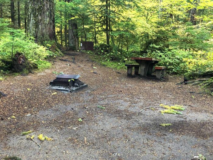 Campers are provided with a picnic table, food storage box, and a fire pit.