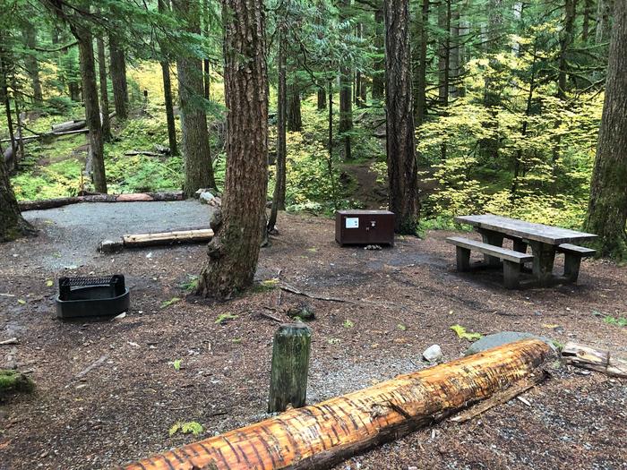 Campers are provided with a picnic table, food storage box, and a fire pit.
