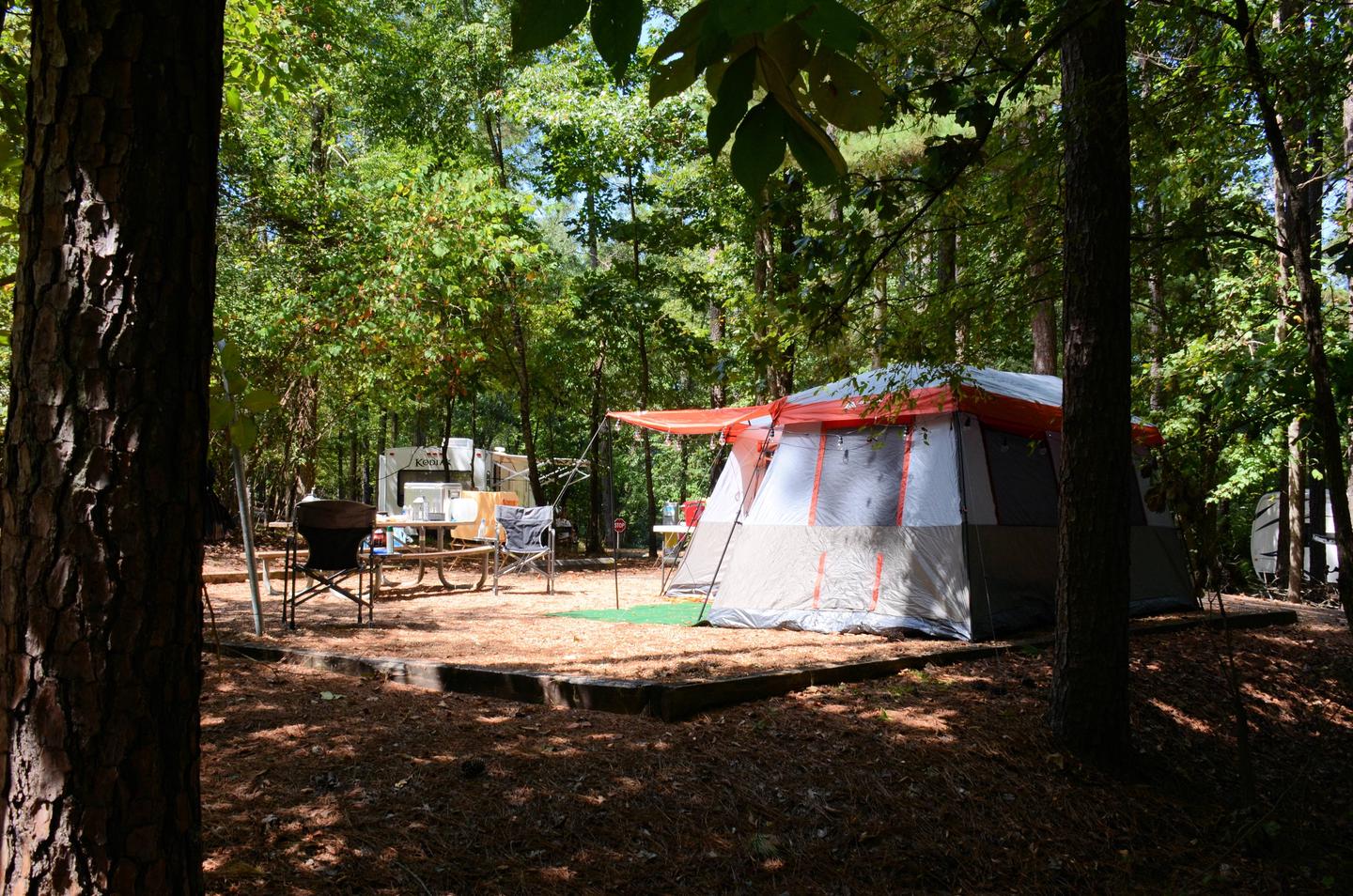 Campsite view.McKinney Campground, campsite 18.