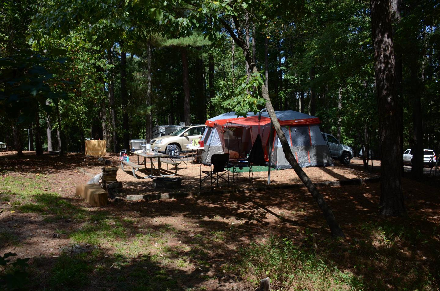 Campsite view-2.McKinney Campground, campsite 18.