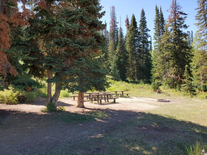 Gooseberry Campground Group Site #4d